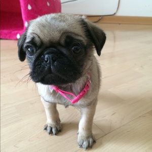 Meet your Posher, Michelle